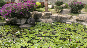 Nanshan Cultural Park & Temple Adventure