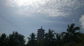 Nanshan Cultural Park & Temple Adventure