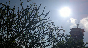 Nanshan Cultural Park & Temple Adventure