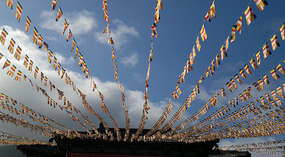 Nanshan Cultural Park & Temple Adventure