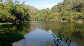 Nanshan Cultural Park & Temple Adventure