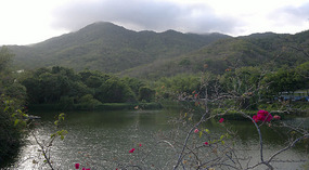 Nanshan Cultural Park & Temple Adventure