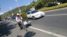 Luhuitou Park & Dadonghai Beach Dinner