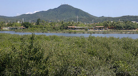Luhuitou Park & Dadonghai Beach Dinner