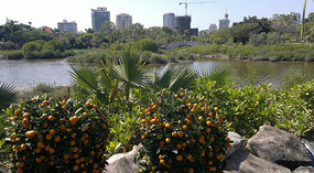 Luhuitou Park & Dadonghai Beach Dinner