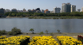 Luhuitou Park & Dadonghai Beach Dinner