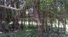 Yalong Bay Adventure