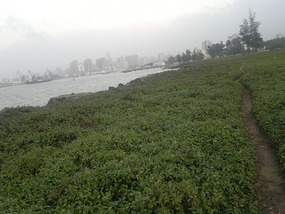 Holiday Beach to Haikou Walk