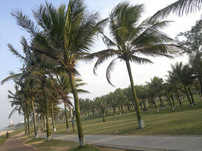 Holiday Beach to Haikou Walk