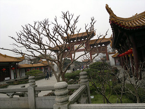 Yellow Crane Tower & Yangzi River Walk