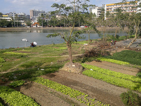 Five Officials Temple & Tomb of Hai Rui