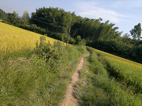 Around The River Bend Bike Adventures