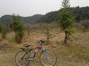 Missing Link Ride Bike Adventures