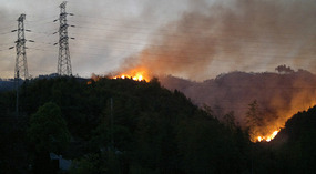 Springs 'Field Burning' Gone Wrong