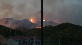 Springs 'Field Burning' Gone Wrong