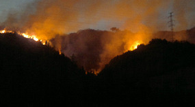 Springs 'Field Burning' Gone Wrong