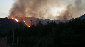 Springs 'Field Burning' Gone Wrong