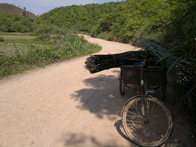 The Far Away Mountain Ride