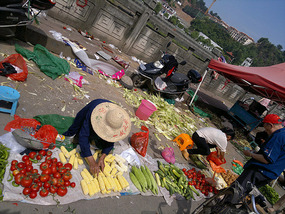 Food Festival & Noodle Stall Adventure (1)
