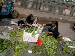 Food Festival & Noodle Stall Adventure (1)