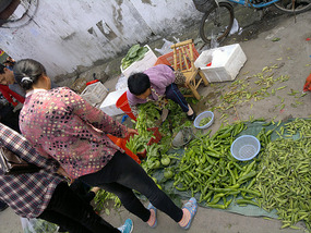 Food Festival & Noodle Stall Adventure (1)