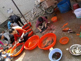 Food Festival & Noodle Stall Adventure (1)