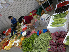 Food Festival & Noodle Stall Adventure (1)