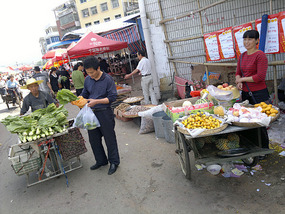 Food Festival & Noodle Stall Adventure (1)