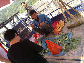 Food Festival & Noodle Stall Adventure (1)