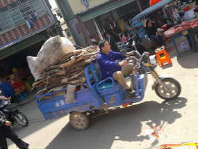 Food Festival & Noodle Stall Adventure (1)