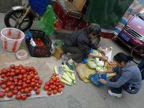 Food Festival & Noodle Stall Adventure (1)