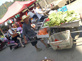 Food Festival & Noodle Stall Adventure (1)