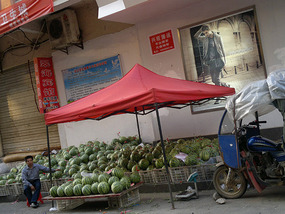 Food Festival & Noodle Stall Adventure (1)