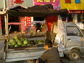 Food Festival & Noodle Stall Adventure (1)