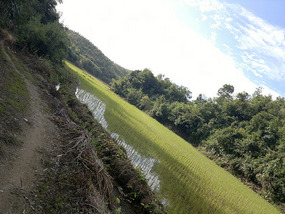 The TongKuang Town Adventure
