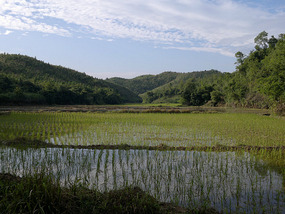The TongKuang Town Adventure