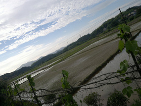The TongKuang Town Adventure