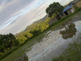 Reflections From A Rice Field
