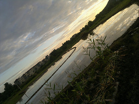Reflections From A Rice Field