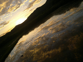 Reflections From A Rice Field