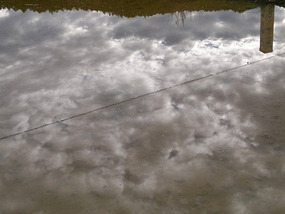 Reflections From A Rice Field