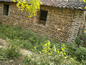 Pig Squeal Village Adventures