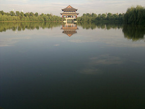 Beer N BBQ & Pagoda Park
