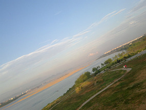 Beer N BBQ & Pagoda Park