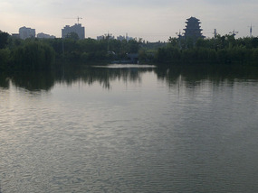 Beer N BBQ & Pagoda Park