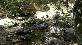 Longtan & Shuikou Waterfalls