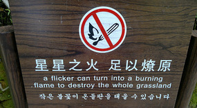 Longtan & Shuikou Waterfalls