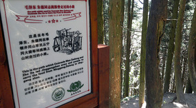 Huangyanjie & Maoping  Adventures