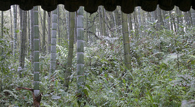 Baizhuyuan Mint & Dajing Adventure