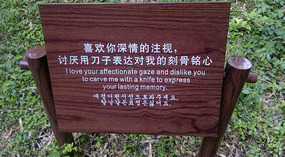 Baizhuyuan Mint & Dajing Adventure